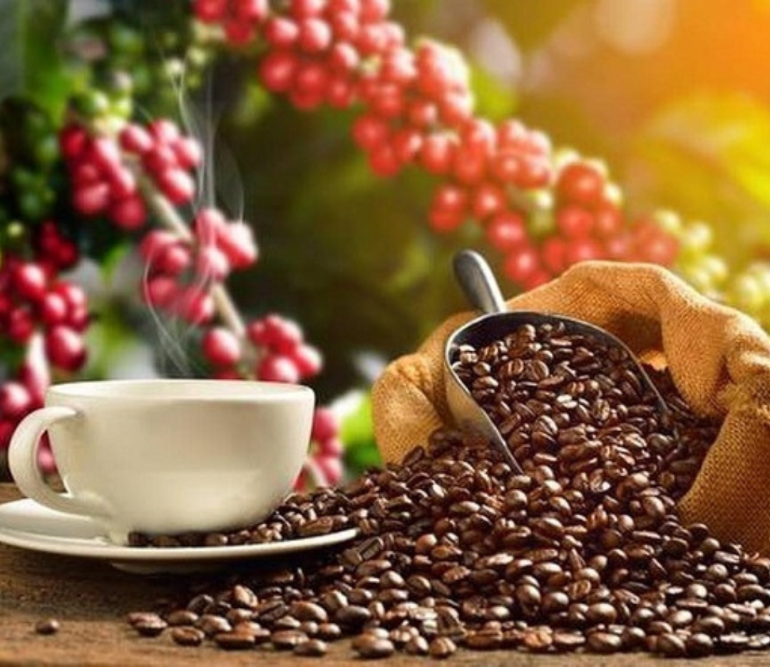 Ethiopian roasted coffee beans