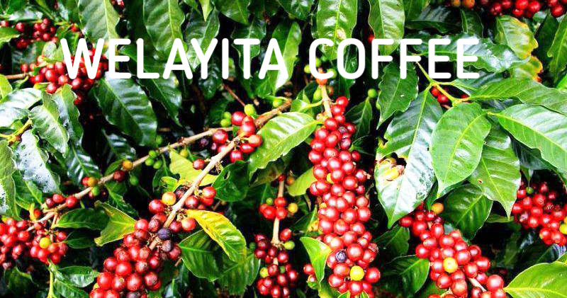 Ethiopian roasted coffee beans