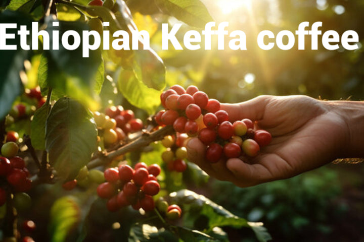 Ethiopian roasted coffee beans