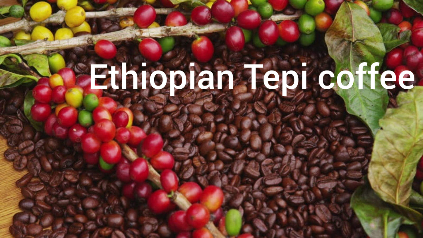 Ethiopian roasted coffee beans
