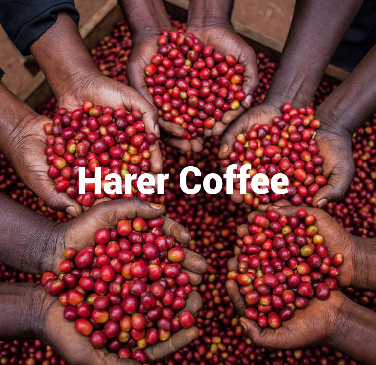 Ethiopian roasted coffee beans