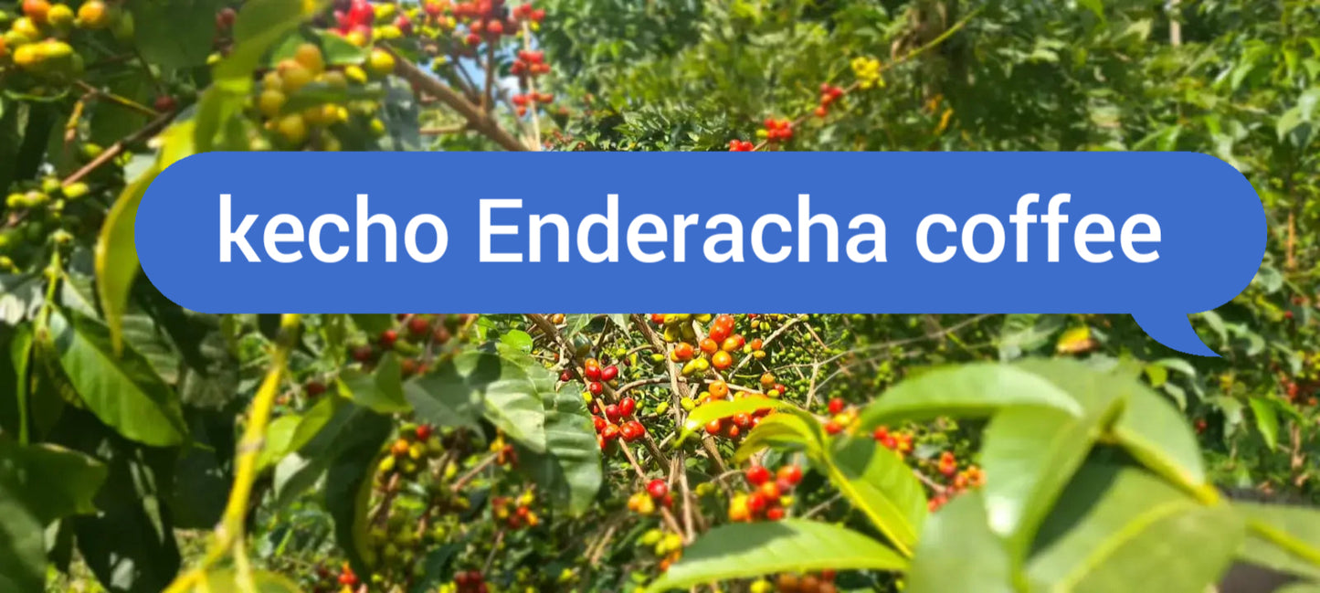 Ethiopian roasted coffee beans